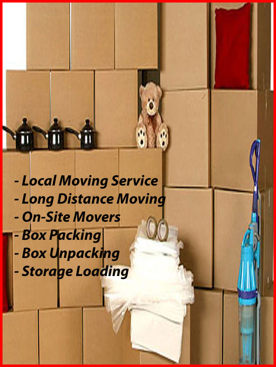 Packers And Movers Noida Sector 117